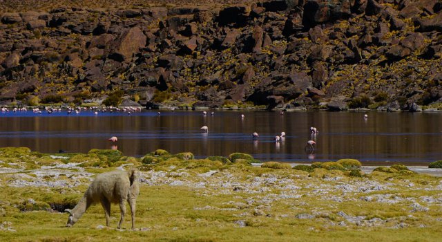 Imagen foto_00000002