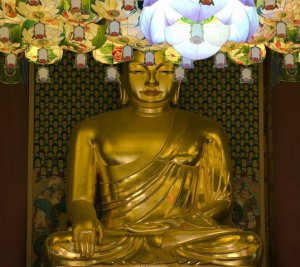 Imagen foto_00000004