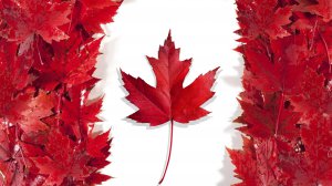 Imagen foto_00000002