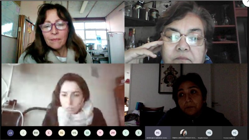 Egresados y egresadas de Pedagogía en Educación Diferencial participan en charla sobre TEA