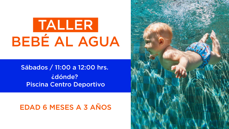 Participa en el taller 
