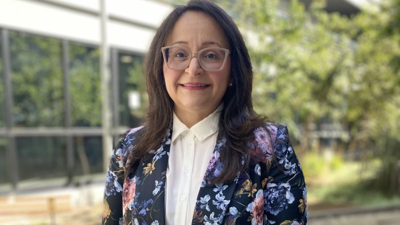 Transparencia: ¿Es suficiente la Ley 20.285?