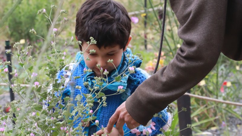 Día Mundial del Medio Ambiente: 5 hitos que protegen y resaltan nuestro entorno