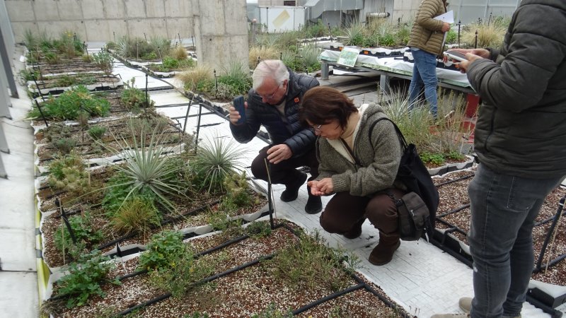 Representantes de la Municipalidad de Santiago visitan los Techos Verdes de la FINARQ