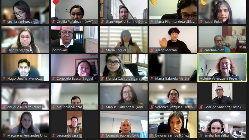 Funcionarios de todo Chile se capacitaron en discapacidad y sistemas de justicia